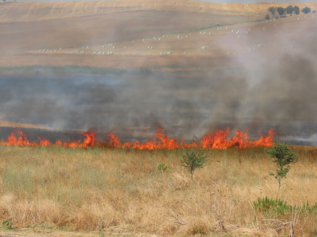 Incendio Diga del Basentello