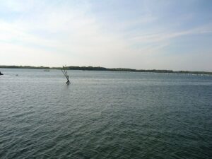Lago_Fusaro_4