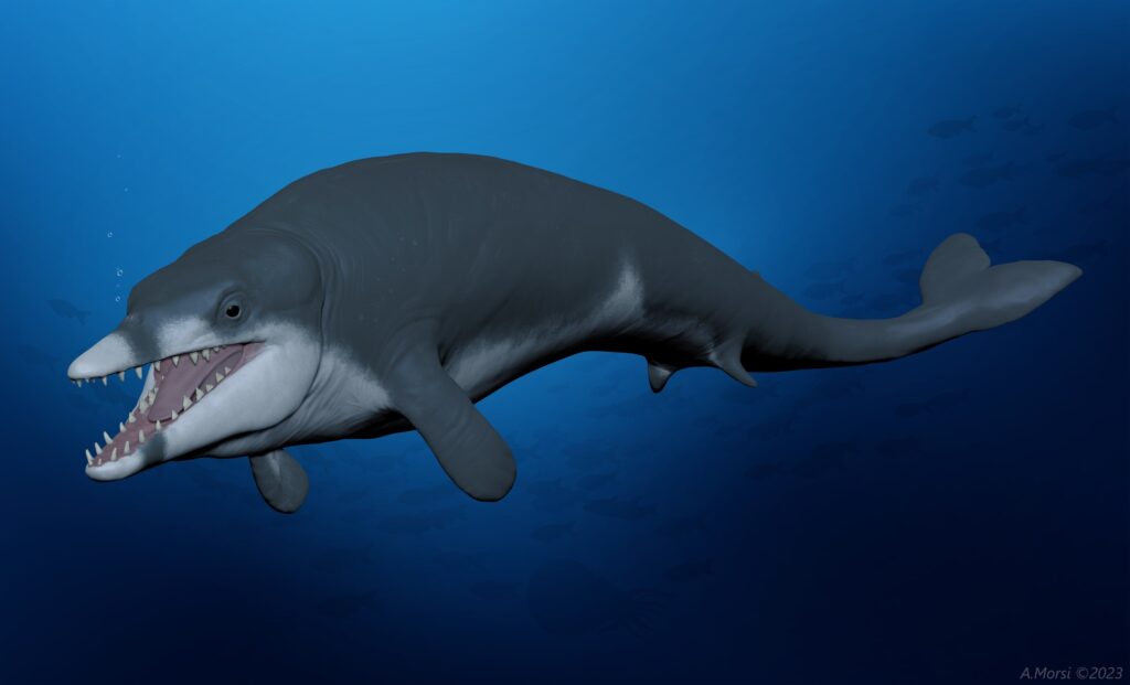basilosauridi