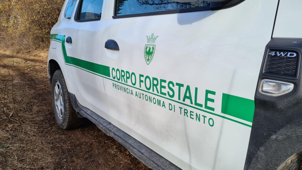 Mezzo del Corpo forestale della provincia Autonoma di Trento