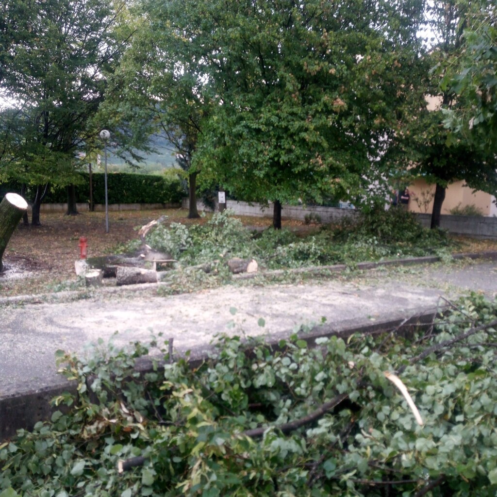 Pieve di Soligo maltempo downburst (1)