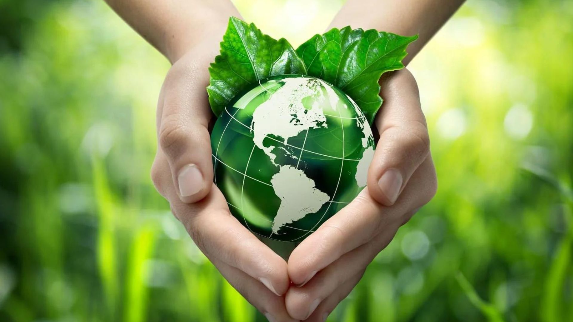 COP16 di Roma: accordo per la Conservazione della Natura