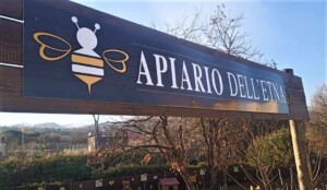 apiario etna