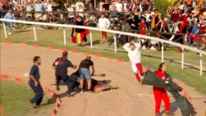 cavallo quintana