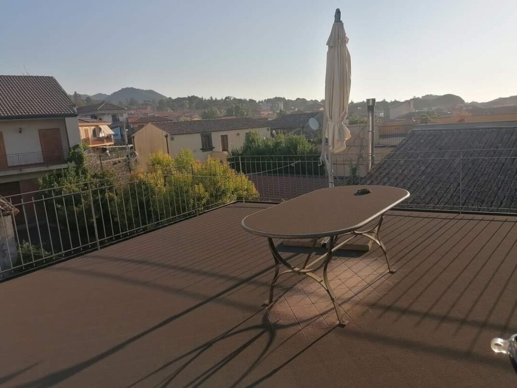 cenere eruzione etna
