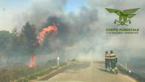 incendi in Sardegna e il corpo forestale sardo