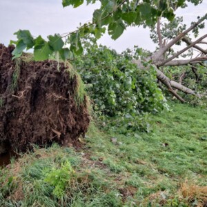 danni maltempo piemonte caselle 16 agosto 2023