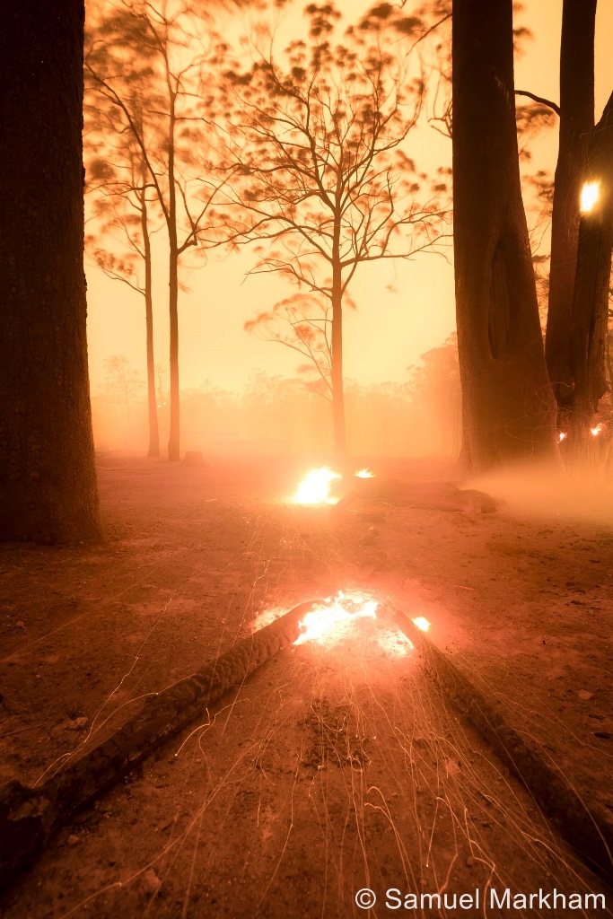incendio Parma Creek Nature Reserve, Nuovo Galles del Sud