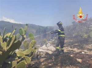 incendi calabria