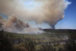 incendi grecia