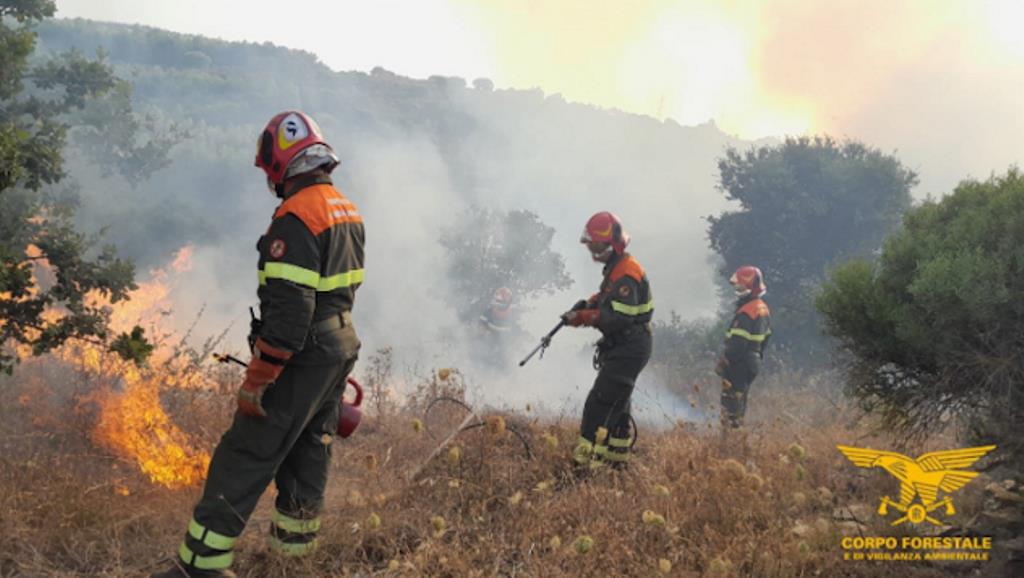 incendio nella campagna di Alghero