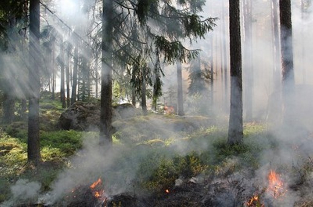 incendio in Bulgaria