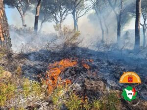 incendio isola dell'elba