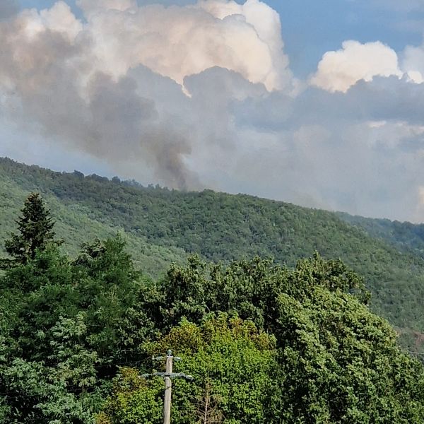 incendio la trove toscana