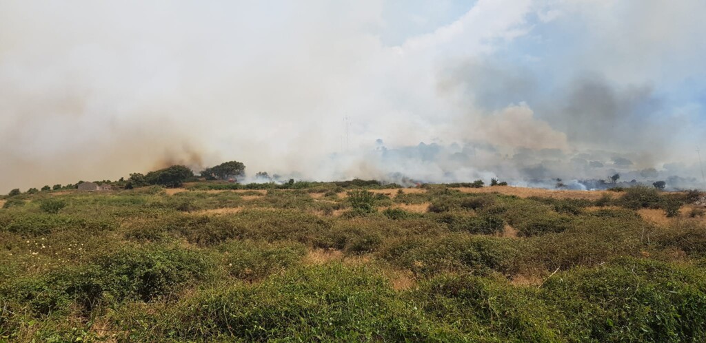 incendio macomer sardegna