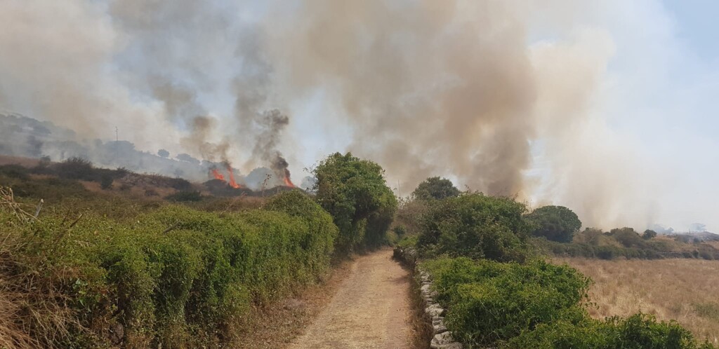 incendio macomer sardegna