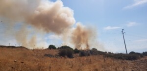 incendio macomer sardegna