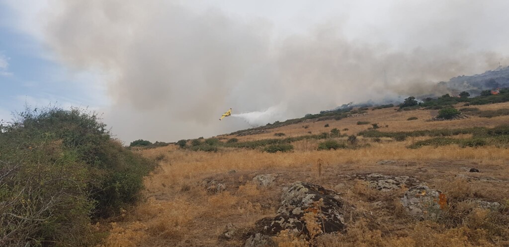 incendio macomer sardegna