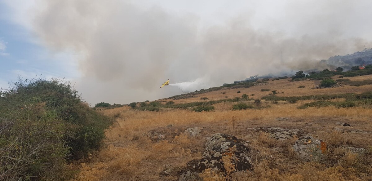 Sette Incendi In Sardegna Oggi 50 Ettari Di Bosco In Fumo A Macomer FOTO