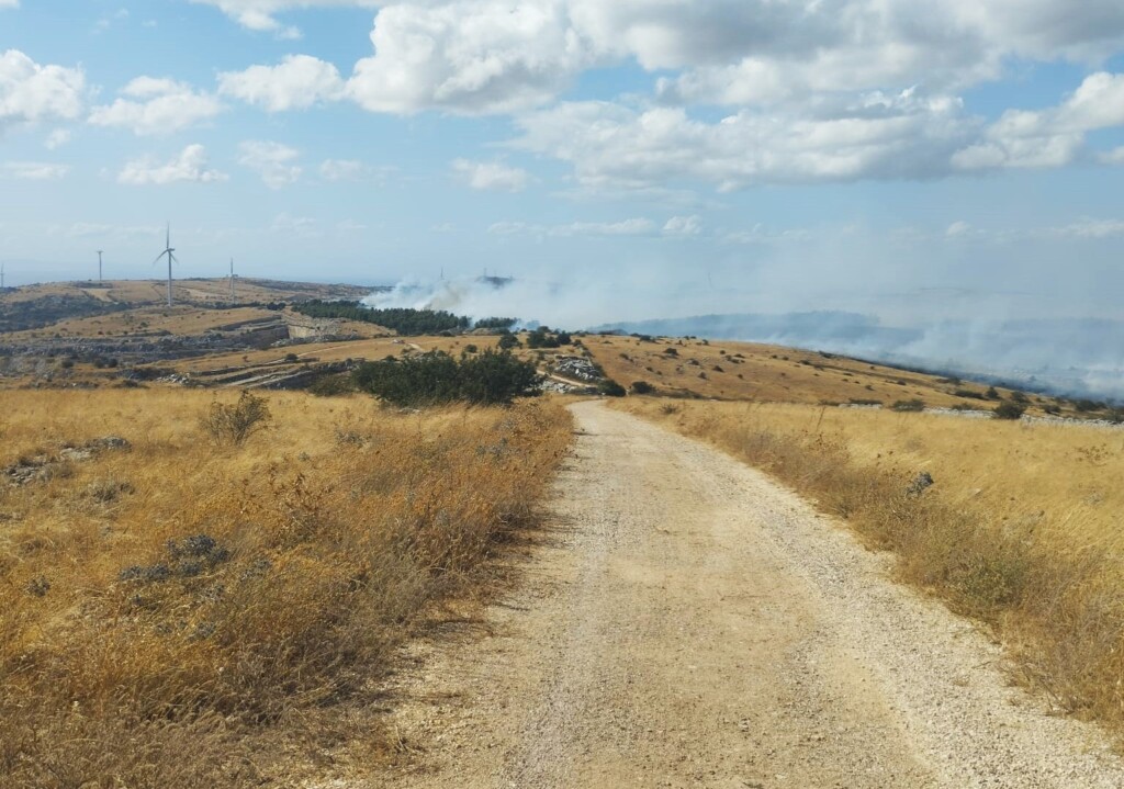 incendio minervino murge