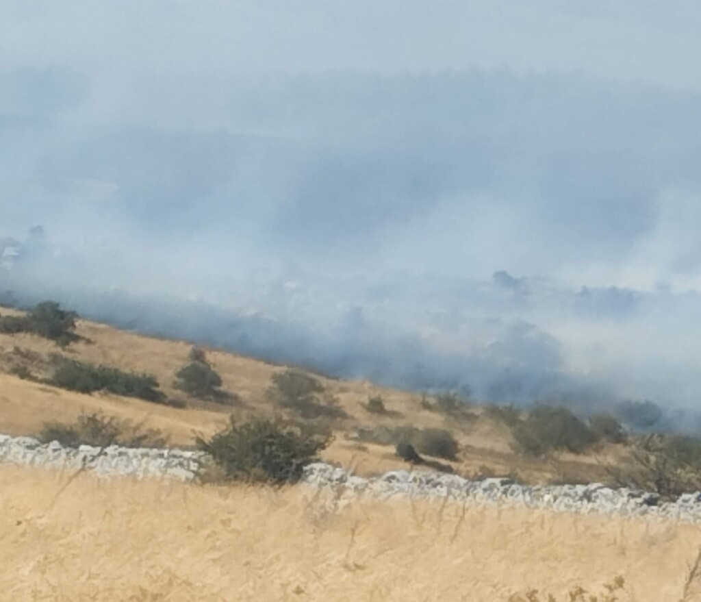 incendio minervino murge