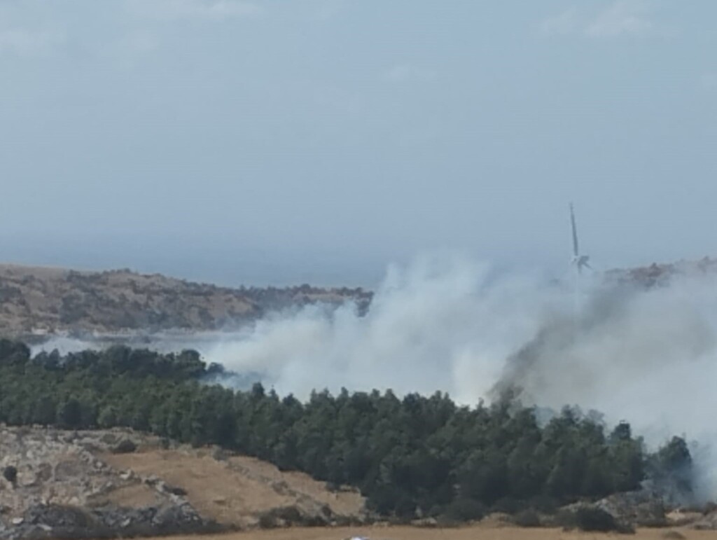 incendio minervino murge
