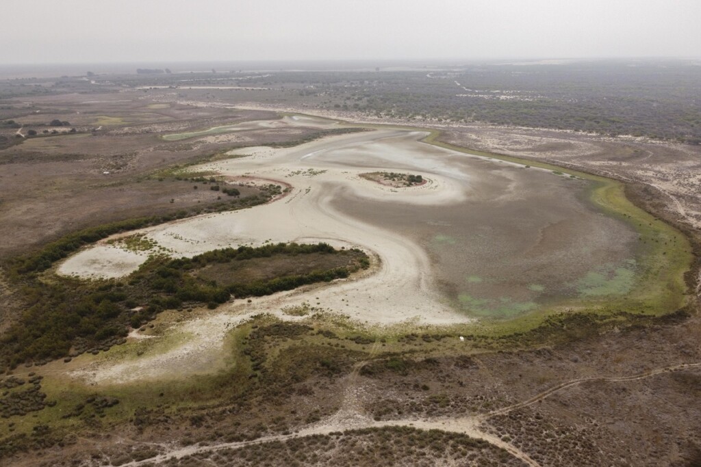 laguna donana Santa Olalla