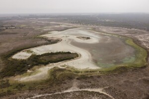 laguna donana Santa Olalla