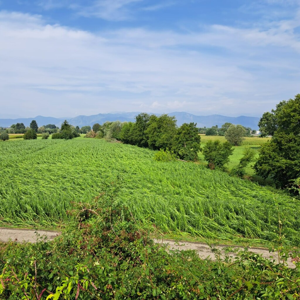 maltempo piemonte torino