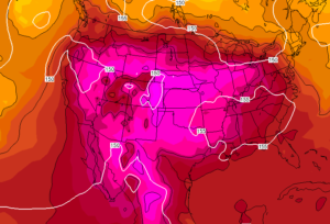 ondata caldo USA