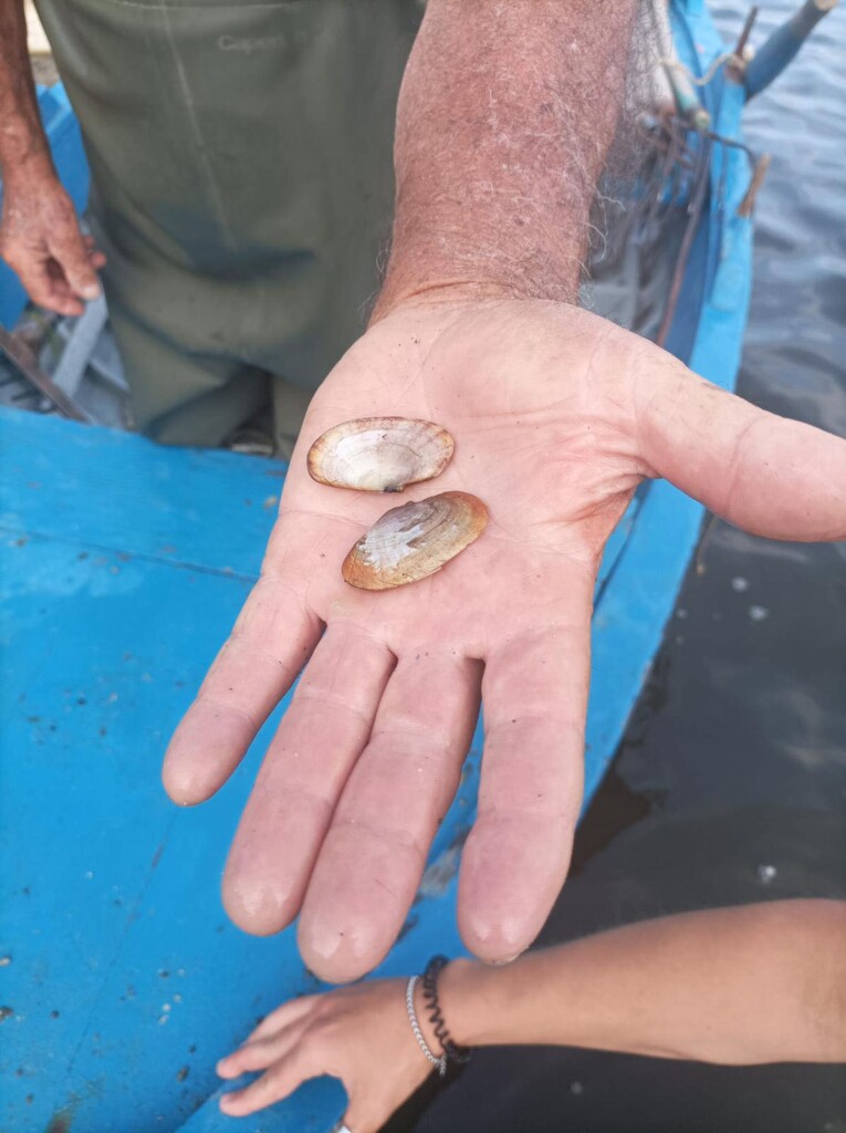progetto molluschicoltura messinese