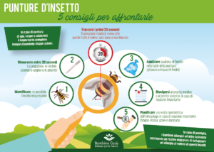 punture insetti 5 consigli per affrontarle