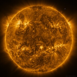 sole