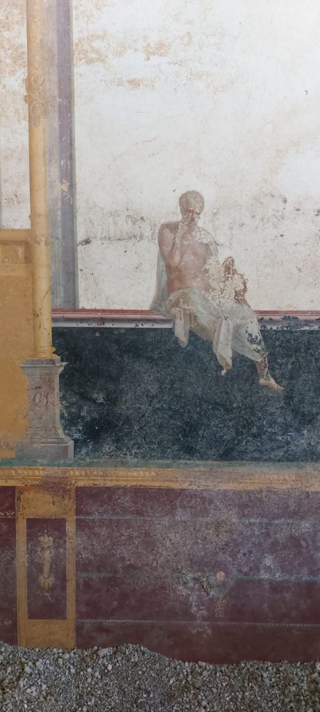 stabia eruzione vesuvio