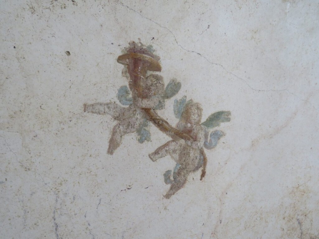 stabia eruzione vesuvio
