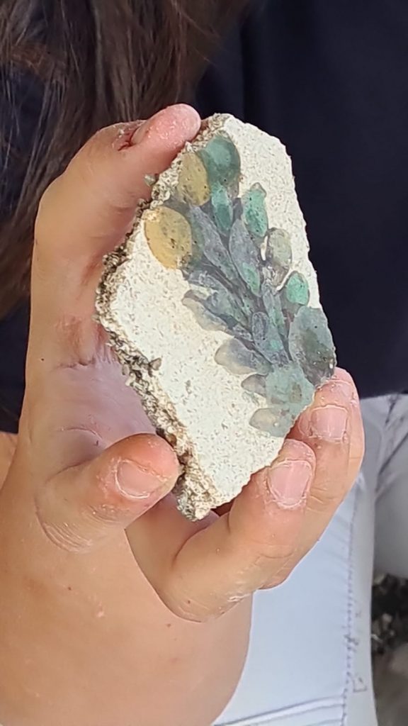 stabia eruzione vesuvio