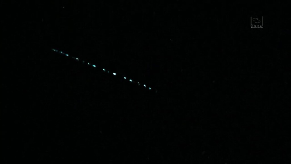 starlink savona