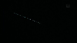 starlink savona