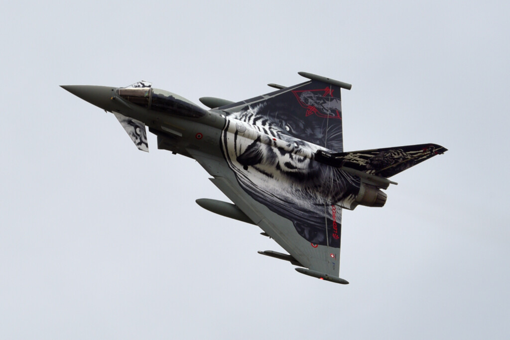 Typhoon_Tiger_Meet_2022