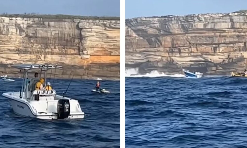 balena australia incidente barca