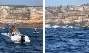 balena australia incidente barca