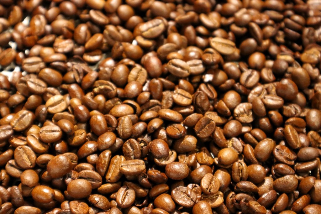 caffè chicchi piantagione