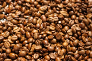 caffè chicchi piantagione