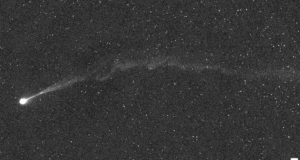 cometa nishimura