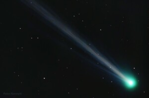 cometa nishimura