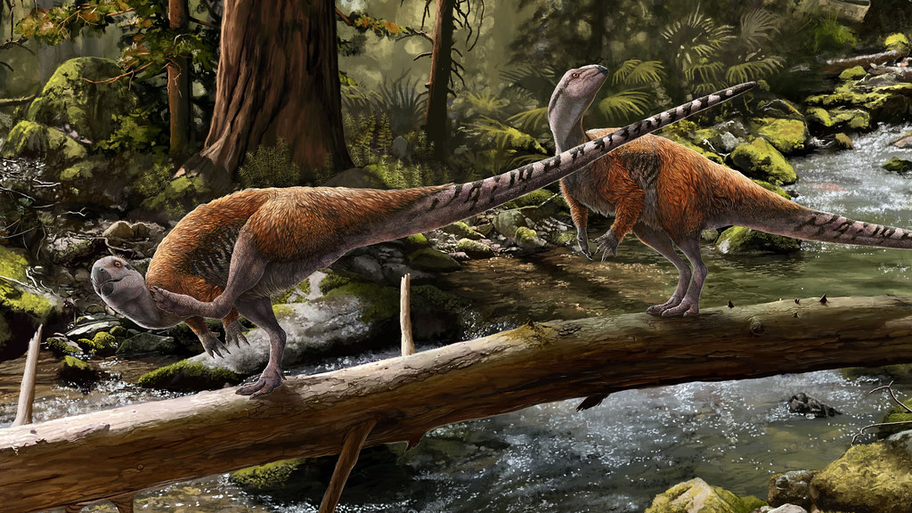 dinosauro Vectidromeus insularis