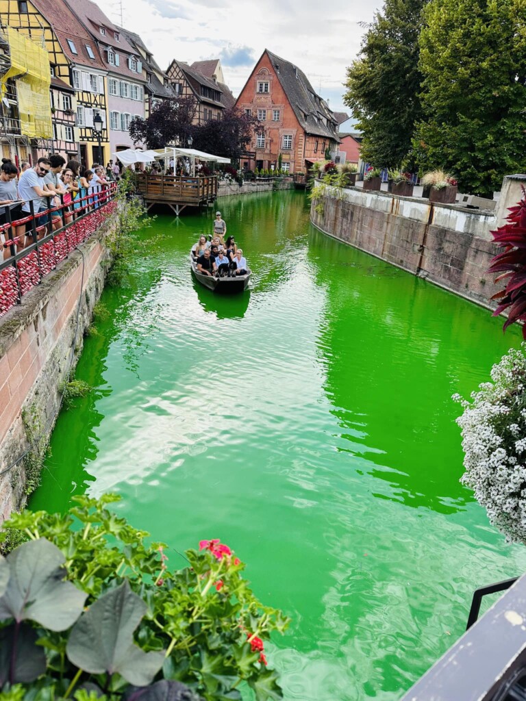 extinction rebellion colmar