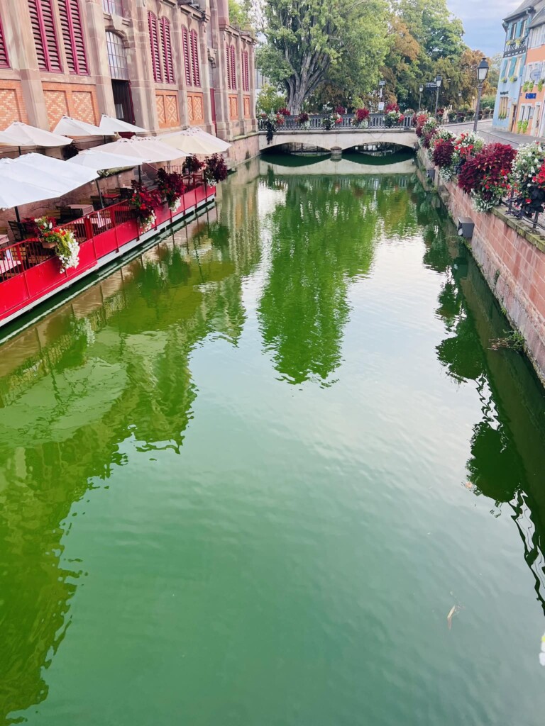 extinction rebellion colmar