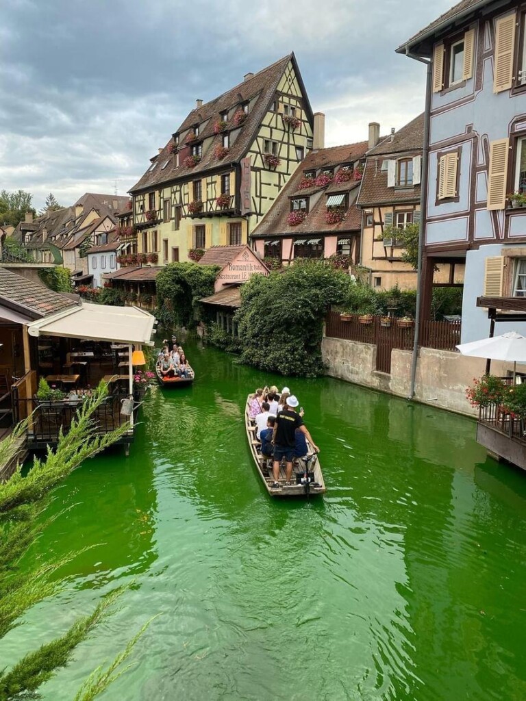 extinction rebellion colmar