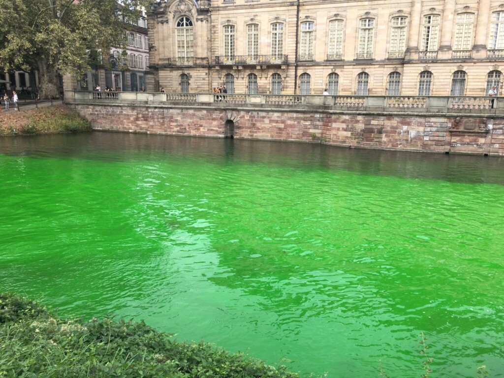 extinction rebellion colmar